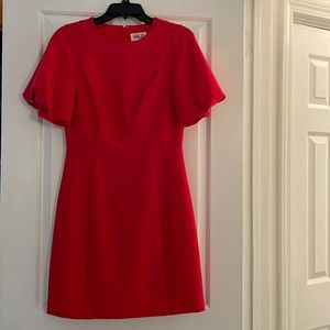 Gorgeous Eliza J cocktail dress